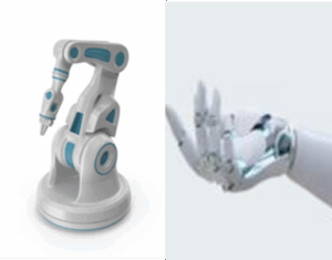 hand and arm